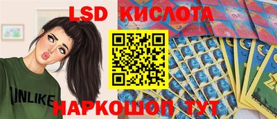 скорость Кимры