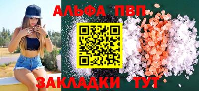 стаф Кингисепп