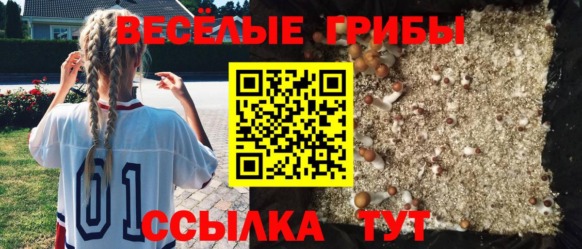 Галлюциногенные грибы мухоморы  закладка  Псилоцибиновые грибы ЛСД  Кулебаки  Вход с VPN 