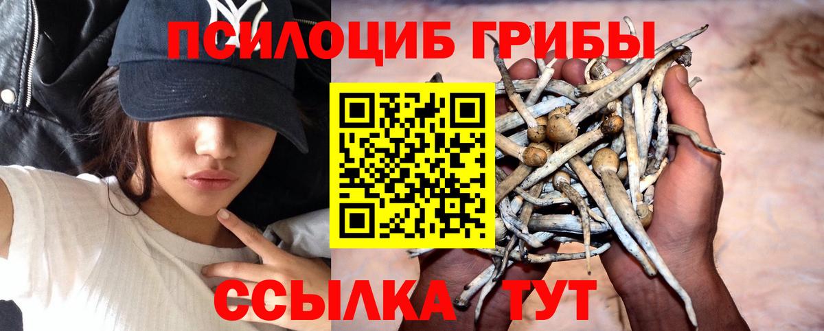 Галлюциногенные грибы мухоморы Кулебаки